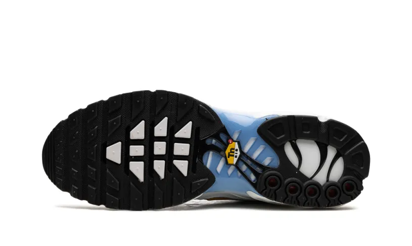 Nike Air Max Air Max Plus 'White University Blue'